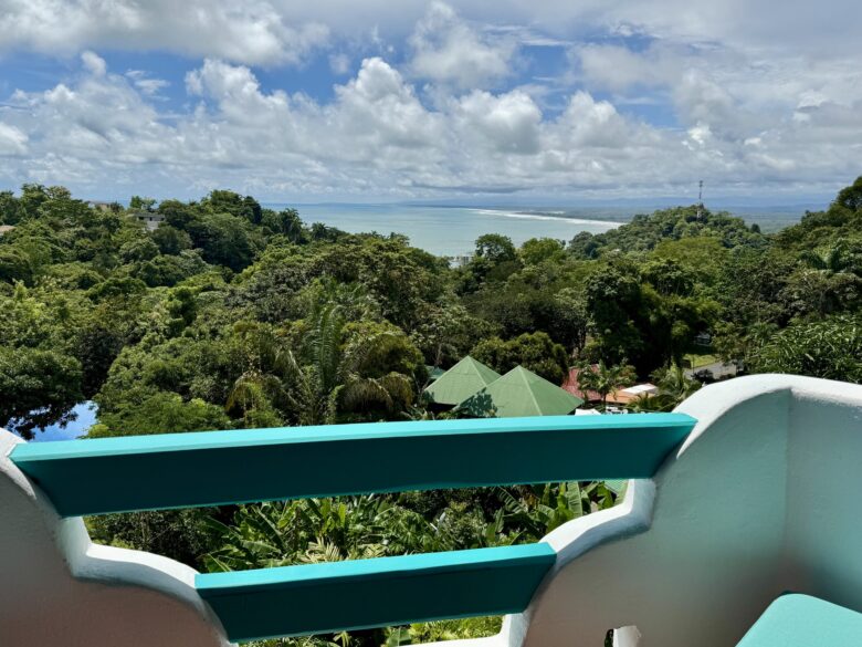 Private balcony overlooking the Pacific Ocean from the Premium Ocean View Room at Planeta Sano Hotel.