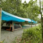 River-side camping tents surrounded by lush rainforest at Finca Planeta Sano in Costa Rica