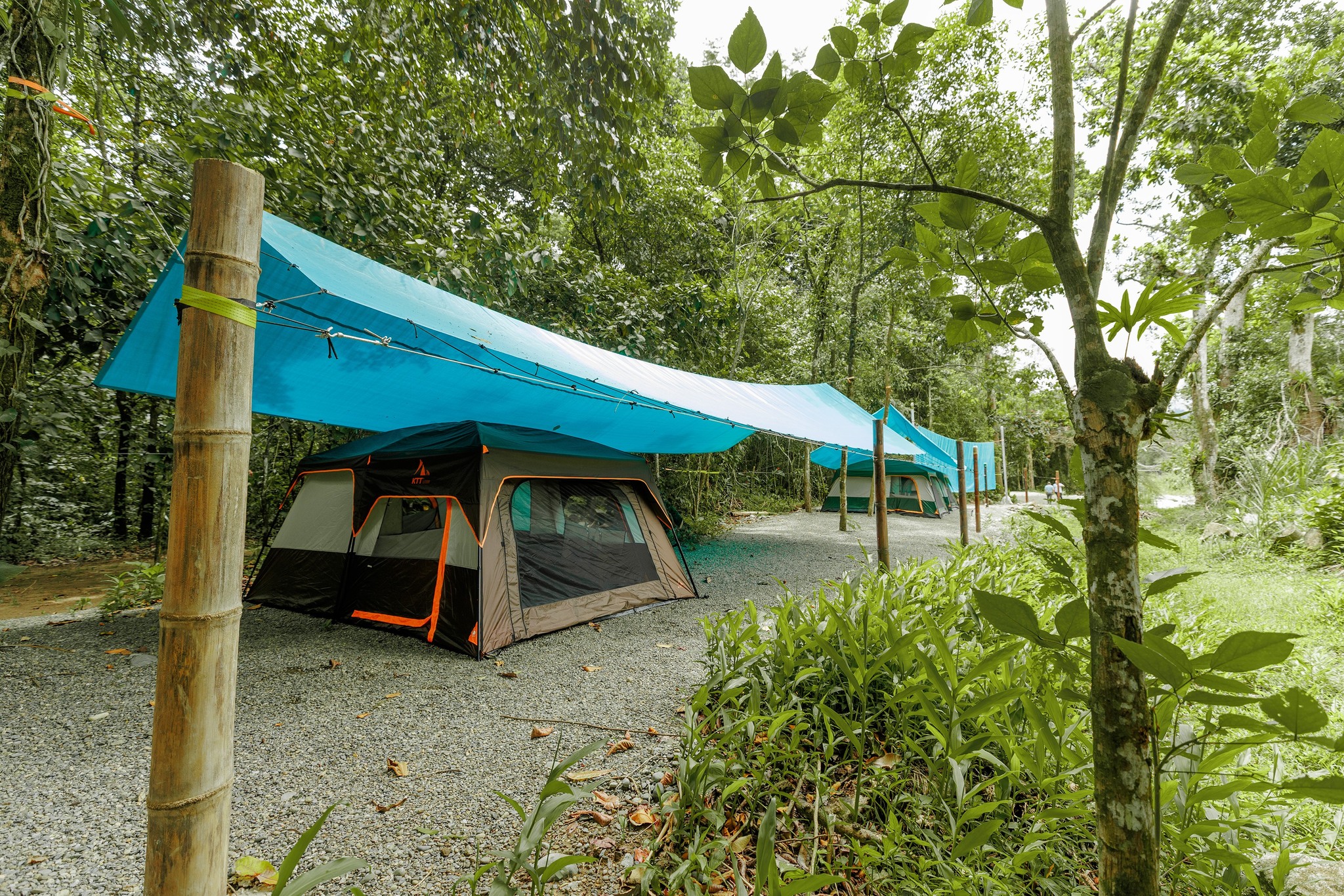 River-side camping tents surrounded by lush rainforest at Finca Planeta Sano in Costa Rica